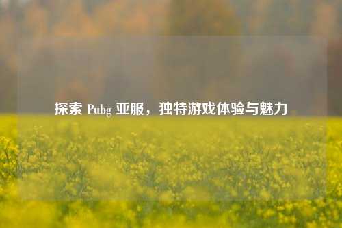探索 Pubg 亚服，独特游戏体验与魅力