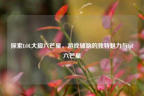 探索LOL大脚六芒星,游戏辅助的独特魅力与lpl六芒星