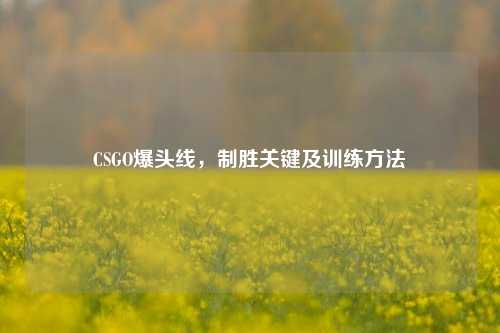 CSGO爆头线，制胜关键及训练 *** 