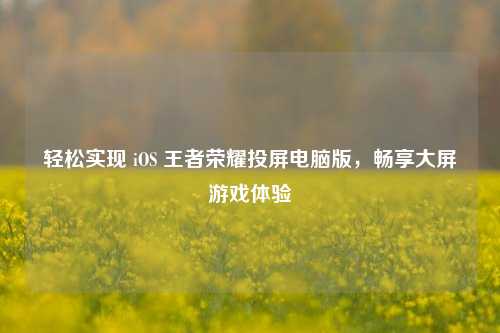 轻松实现 iOS 王者荣耀投屏电脑版，畅享大屏游戏体验