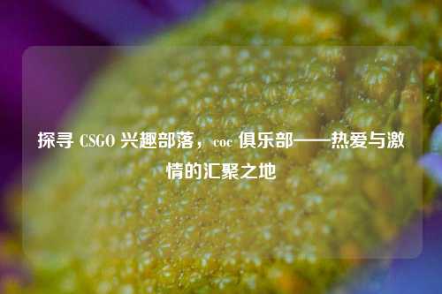 探寻 CSGO 兴趣部落,coc 俱乐部——热爱与 *** 的汇聚之地