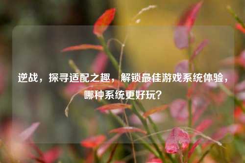 逆战,探寻适配之趣,解锁更佳游戏系统体验,哪种系统更好玩?