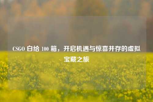 CSGO 白给 100 箱，开启机遇与惊喜并存的虚拟宝藏之旅