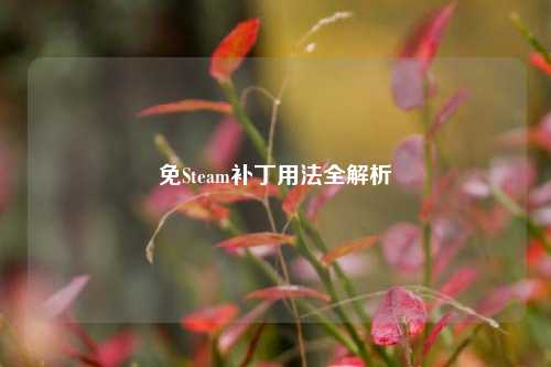免Steam补丁用法全解析