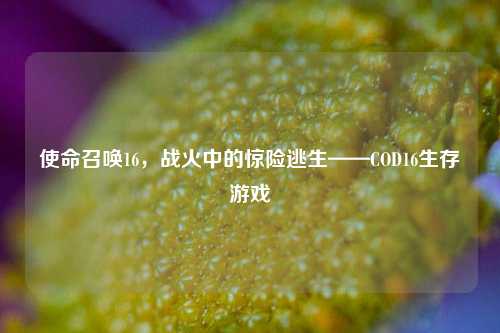 使命召唤16,战火中的惊险逃生——COD16生存游戏