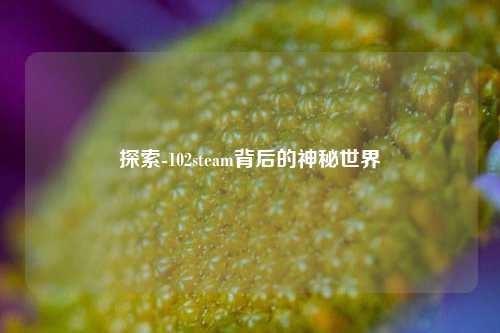 探索-102steam背后的神秘世界