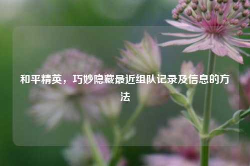 和平精英,巧妙隐藏最近组队记录及信息的 ***