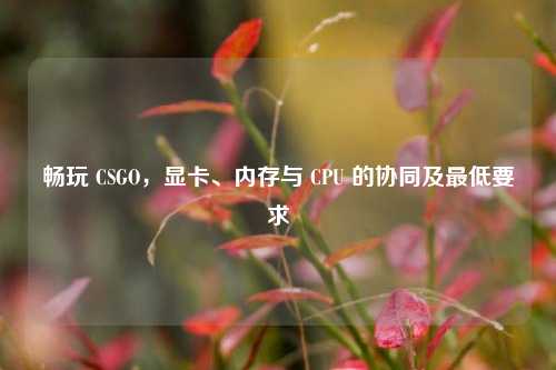 畅玩 CSGO,显卡、内存与 CPU 的协同及更低要求