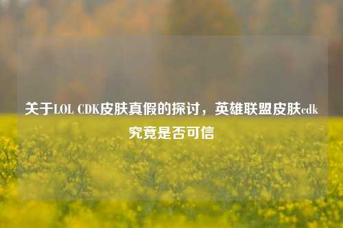 关于LOL CDK皮肤真假的探讨,英雄联盟皮肤cdk究竟是否可信