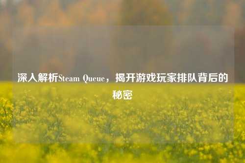 深入解析Steam Queue,揭开游戏玩家排队背后的秘密