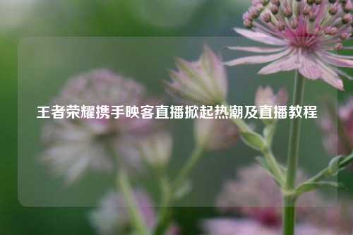 王者荣耀携手映客直播掀起热潮及直播教程