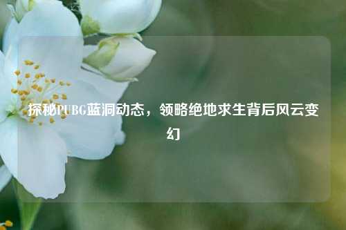 探秘PUBG蓝洞动态，领略绝地求生背后风云变幻
