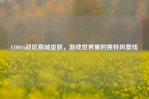 COD16战区商城皮肤,游戏世界里的独特风景线