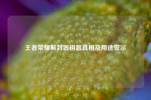 王者荣耀解封器钥匙真相及用途警示