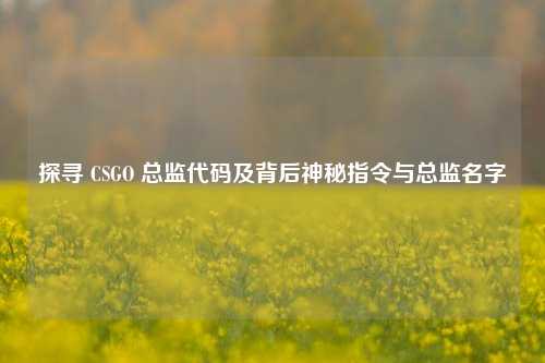探寻 CSGO 总监代码及背后神秘指令与总监名字