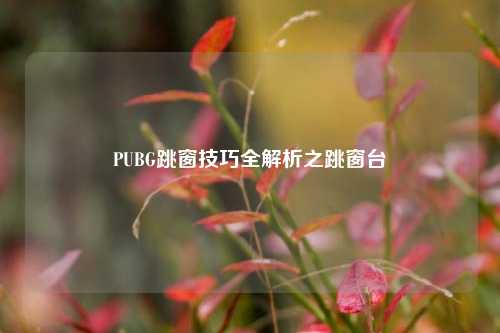 PUBG跳窗技巧全解析之跳窗台