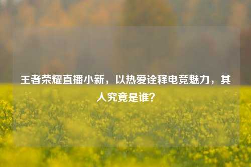 王者荣耀直播小新，以热爱诠释电竞魅力，其人究竟是谁？