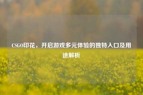 CSGO印花，开启游戏多元体验的独特入口及用途解析
