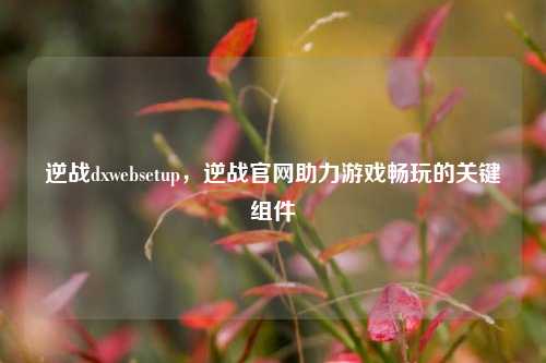 逆战dxwebsetup,逆战官网助力游戏畅玩的关键组件
