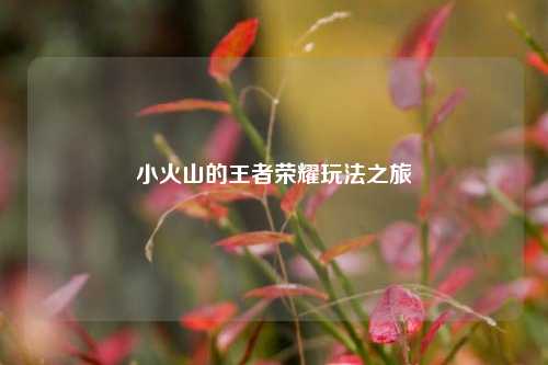 小火山的王者荣耀玩法之旅
