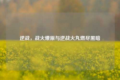 逆战，战火燎原与逆战火丸燃尽黑暗