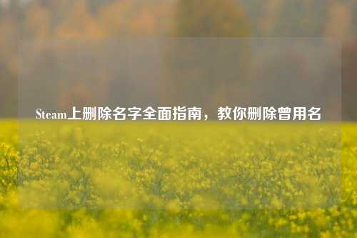 Steam上删除名字全面指南,教你删除曾用名