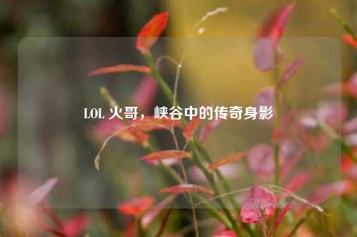 LOL 火哥，峡谷中的传奇身影