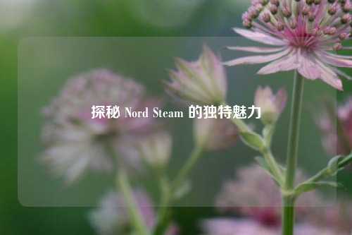 探秘 Nord Steam 的独特魅力