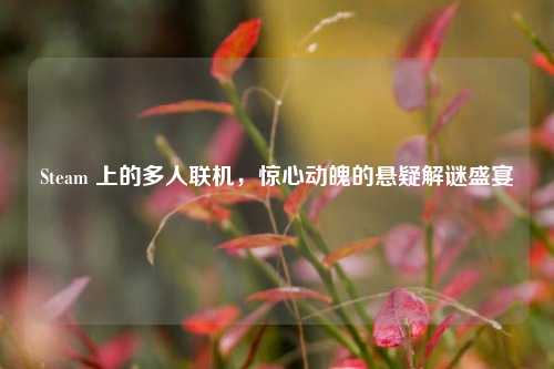 Steam 上的多人联机,惊心动魄的悬疑解谜盛宴