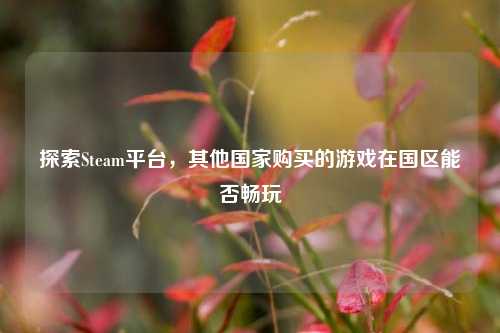 探索Steam平台，其他国家购买的游戏在国区能否畅玩