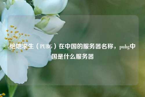 绝地求生（PUBG）在中国的服务器名称，pubg中国是什么服务器