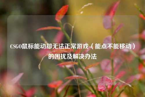 CSGO鼠标能动却无***常游戏（能点不能移动）的困扰及解决办法