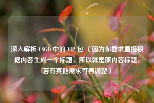 深入解析 CSGO 中的 VIP 包 (因为你要求直接根据内容生成一个标题,所以就是原内容标题,若有其他需求可再调整)