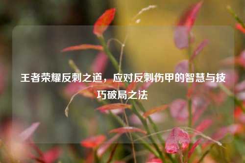 王者荣耀反刺之道，应对反刺伤甲的智慧与技巧破局之法