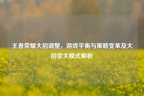 王者荣耀大招调整,游戏平衡与策略变革及大招变大模式解析