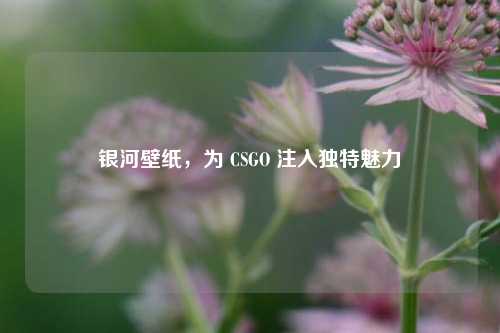银河壁纸，为 CSGO 注入独特魅力