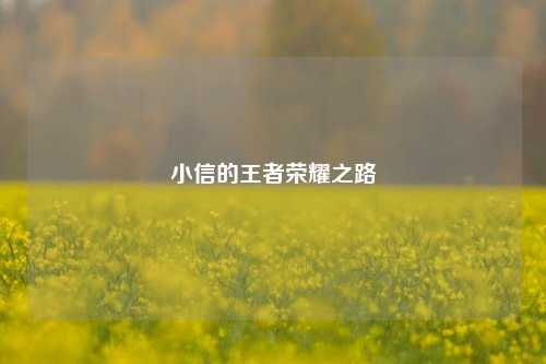 小信的王者荣耀之路