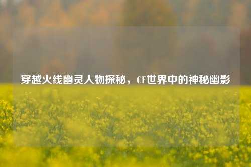 穿越火线幽灵人物探秘,CF世界中的神秘幽影
