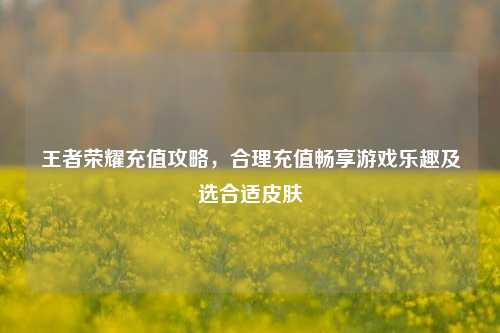 王者荣耀充值攻略,合理充值畅享游戏乐趣及选合适皮肤