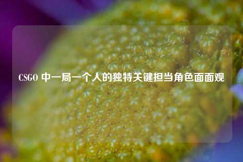 CSGO 中一局一个人的独特关键担当角色面面观