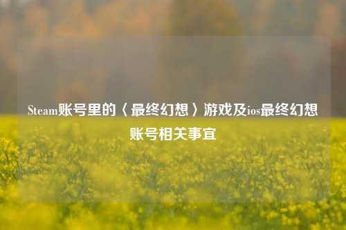 Steam账号里的〈最终幻想〉游戏及ios最终幻想账号相关事宜