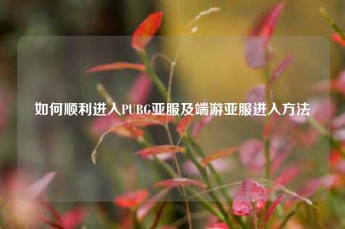 如何顺利进入PUBG亚服及端游亚服进入 *** 