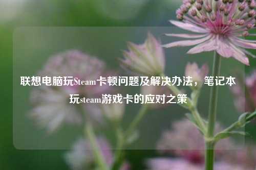 联想电脑玩Steam卡顿问题及解决办法，笔记本玩steam游戏卡的应对之策