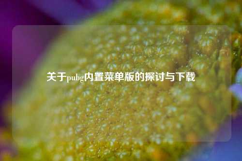 关于pubg内置菜单版的探讨与下载
