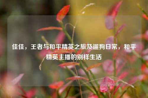 佳佳,王者与和平精英之旅及遛狗日常,和平精英主播的别样生活
