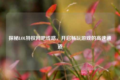 探秘LOL特权网吧线路,开启畅玩游戏的高速通道