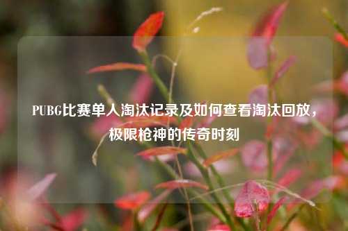 PUBG比赛单人淘汰记录及如何查看淘汰回放,极限枪神的传奇时刻