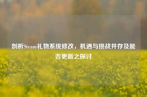 剖析Steam礼物系统修改,机遇与挑战并存及能否更新之探讨