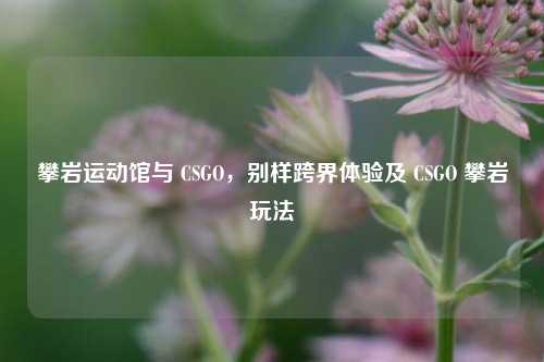 攀岩运动馆与 CSGO,别样跨界体验及 CSGO 攀岩玩法