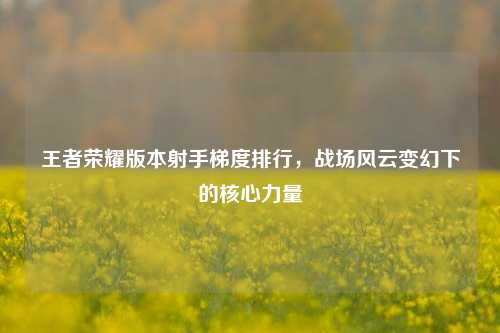 王者荣耀版本射手梯度排行,战场风云变幻下的核心力量